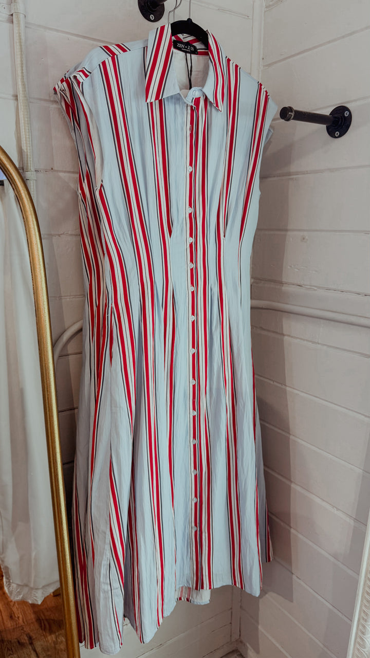 Fitted Bodice Striped Button Down Midi Dress