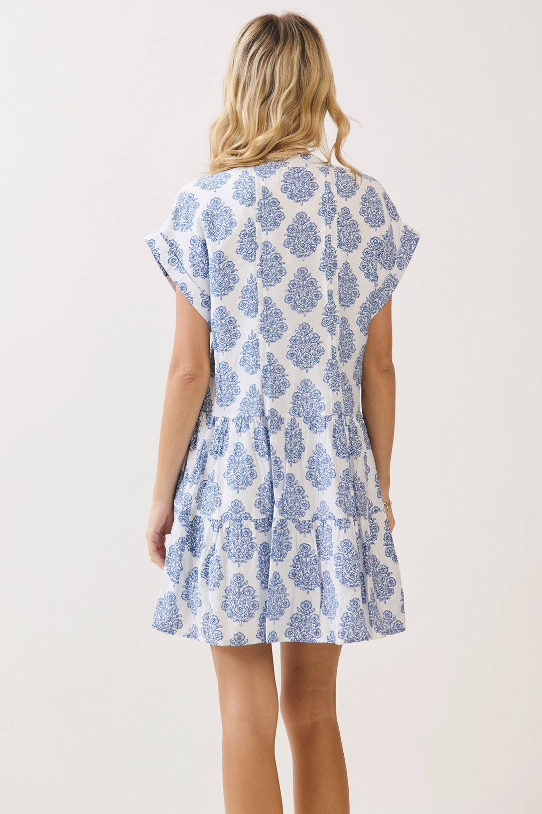 Printed Notch Neckline Tiered Mini Dress