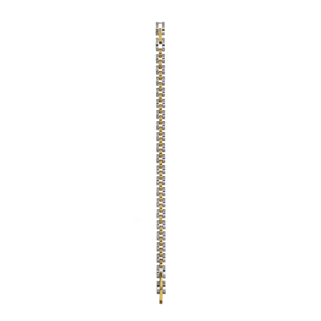 Two Tone Dainty Watch Band