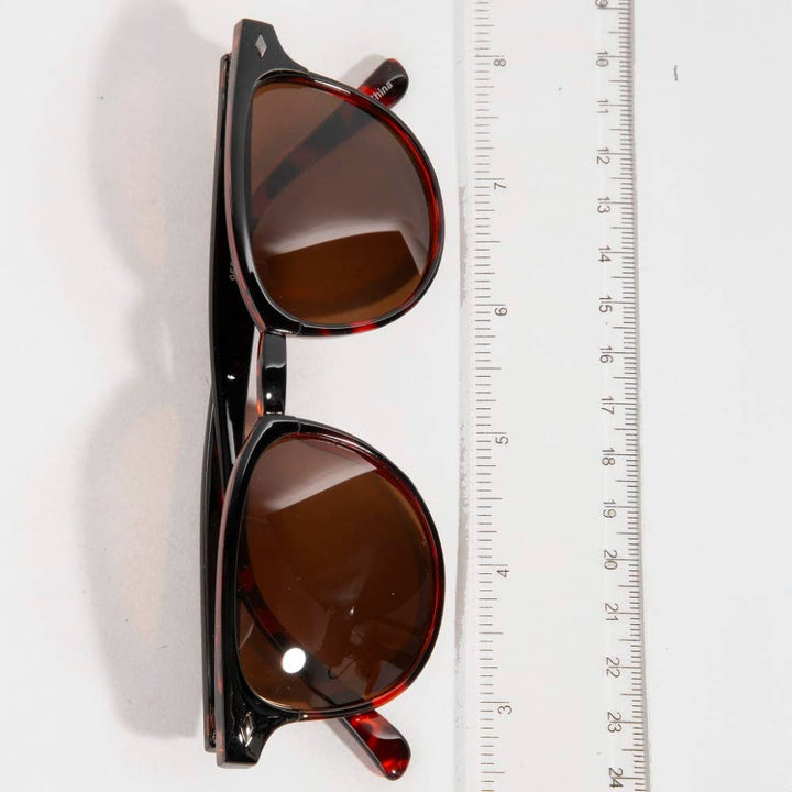 Acetate Frame Assorted Sunglasses